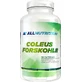 AllNutrition Coleus Forskohlii Пищевая добавка Special Special 90 капс