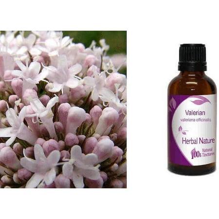Nature & Body Tincture Настоянка Настоянка 10мл: ціни та характеристики