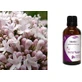 Nature & Body Tincture Настоянка Настоянка 10мл