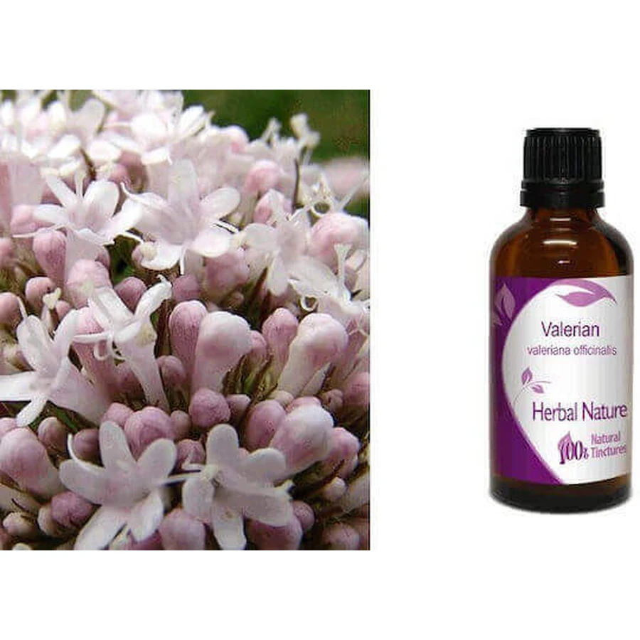 Nature & Body Tincture Настоянка Настоянка 10мл: ціни та характеристики