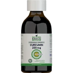 Doctor's Formulas Curcumin 200mg 225ml: цены и характеристики