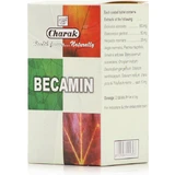Charak Becamin 100 файлів