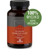 TerraNova Листья гинкго 50 файлов