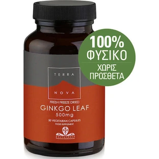 TerraNova Листья гинкго 50 файлов