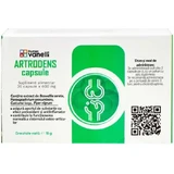 Ayurcare Artrodens добавка для здоровья суставов и костей 30 капс