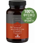TerraNova Грибна синергія 50 капс.: ціни та характеристики