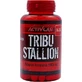 ActivLab Tribe Stallion Libido & Testosterone Boosting Supplement 60 капс.