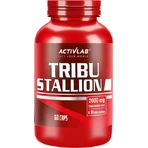 ActivLab Tribe Stallion Libido & Testosterone Boosting Supplement 60 капс.: ціни та характеристики