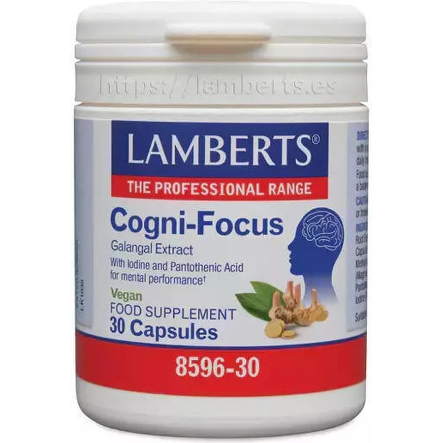 Lamberts Cogni-focus Галангал Специальная пищевая добавка 30 капс: цены и характеристики