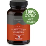 TerraNova Вітамін С Вітамін для зміцнення імунітету, шкіри та антиоксидантної дії 250 мг 50 рослинних капсул: ціни та характеристики