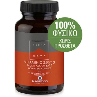 TerraNova Вітамін С Вітамін для зміцнення імунітету, шкіри та антиоксидантної дії 250 мг 50 рослинних капсул