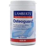 Lamberts Lamberts Osteoguard Спеціальна харчова добавка 90 табл.: ціни та характеристики