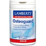 Lamberts Lamberts Osteoguard Спеціальна харчова добавка 90 табл.: ціни та характеристики
