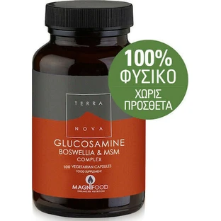 TerraNova Glucosamine Boswellia & MSM Complex Joint & Bone Health Supplement 100 растительных капсул