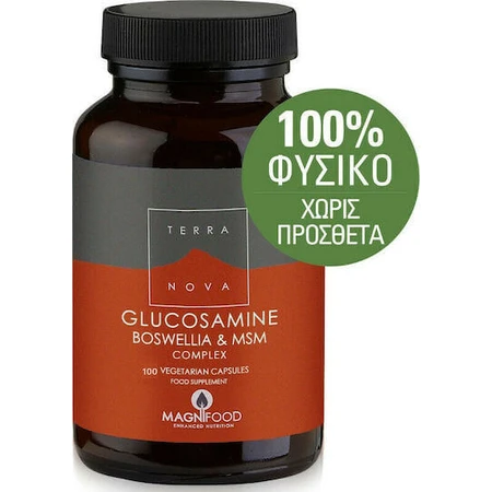 TerraNova Glucosamine Boswellia & MSM Complex Joint & Bone Health Supplement 100 растительных капсул: цены и характеристики