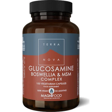 TerraNova Glucosamine Boswellia & MSM Complex Joint & Bone Health Supplement 100 растительных капсул: цены и характеристики