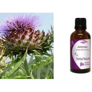 Nature & Body Tincture Настойка артишока 1шт