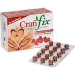 UNI-PHARMA Cranfix 60 x 1 капсула: цены и характеристики