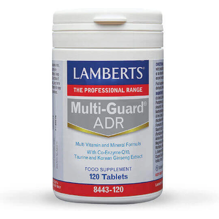 Lamberts Multi-Guard ADR Energy Multivitamin 120 Tablets: цены и характеристики