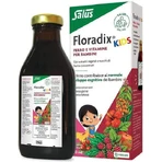 Salus Haus Floradix Kids 250 мл: цены и характеристики