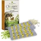 Physis & Ideas Oreganic Plus Mastic 30 софтгелей