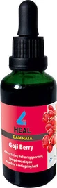 Apel Tincture 4 Heal Настойка ягод годжи 50 мл
