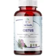 Full Health Cistus Creticus 300 мг Пищевая добавка Special 60 капс