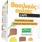 Apipharm Royal Jelly Витамин для энергии, укрепления иммунитета и волос 500 мг 30 капс: цены и характеристики