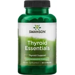 Swanson Thyroid Essentials Food Supplement Special 90 капс: цены и характеристики