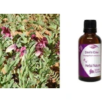 Nature & Body Tincture Harpagophytum Tincture (Devil's Claw) 50ml Harpagophyte: цены и характеристики