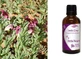 Nature & Body Tincture Harpagophytum Tincture (Devil's Claw) 50ml Harpagophyte