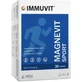 Leriva Pharma Magnevit Sport 30 капсул