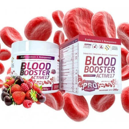 SCN Blood Booster Active17 Спеціальна харчова добавка 280гр: ціни та характеристики