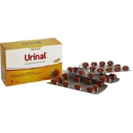 Спеціальна дієтична добавка Walmark Urinary Urinary Special Dietary Supplement 30 м'яких гелів: ціни та характеристики