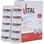 Полівітамінний комплекс Vital Plus Q10 для підтримки енергії та імунної системи 10 мг 30 м'яких гелів: ціни та характеристики