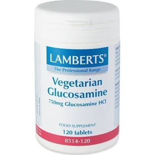 Lamberts Vegetarian Glucosamine 750mg Joint & Bone Health Supplement 120 tabs