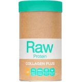 Amazonia Raw Protein Collagen Plus без глютена и лактозы со вкусом ванили и клена 450 гр.