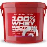 Scitec Nutrition 100% Whey Профессиональный сывороточный протеин без глютена со вкусом клубники и белого шоколада 5 кг