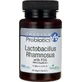 Swanson Lactobacillus Rhamnosus With FOS Probiotic 60 caps
