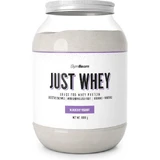 GymBeam Just Whey Сывороточный протеин со вкусом йогурта с черникой 1 кг