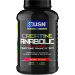 USN Creatine Anabolic Cherry Punch 900гр: ціни та характеристики