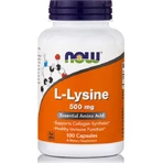 Now Foods L-Lysine 500 мг 100 травяных капсул: цены и характеристики