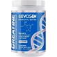 Evogen Micronised Monohydrate 300гр