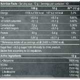 Biotech USA BCAA & Glutamine Zero 480gr Orange