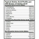 Biotech USA Mega Amino 3200 6400 мг 300 таблеток