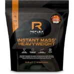 Reflex Nutrition Instant Mass HeavyWeight з креатином та смаком солоної карамелі 5,4 кг: ціни та характеристики