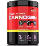 Genius Nutrition Carnogen Beta-Alanine 300гр неароматизированный