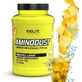 Evolite Aminodust Advanced Anticatabolic Formula 1185гр Ананас