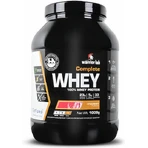 Warrior Lab Complete Whey Whey Protein Сывороточный протеин без глютена со вкусом клубники 1 кг: цены и характеристики