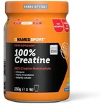 Named Sport 100% Creatine 250гр: ціни та характеристики